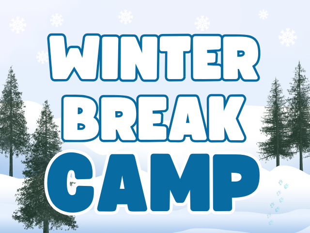 winter break camp banner